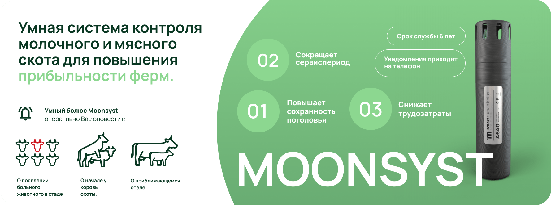 IT-стадо (MOONSYST)